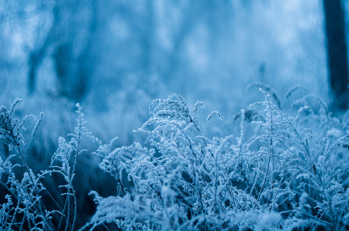 Зимняя фотография на Советский Гелиос 81 Зима, Парк, Длиннопост
