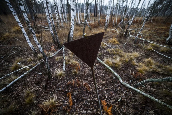 We go to Pripyat through the Red Forest, a trip to the Chernobyl zone part 2 - My, Chernobyl, Pripyat, Red Forest, Exclusion Zone, Chernobyl, Video