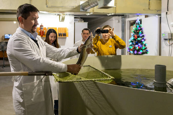 Как в Казани производят натуральную чёрную икру Производство, Как это сделано, Завод, Фабрика, Продукты, Длиннопост Как в Казани производят натуральную чёрную икру Производство, Как это сделано, Завод, Фабрика, Продукты, Длиннопост