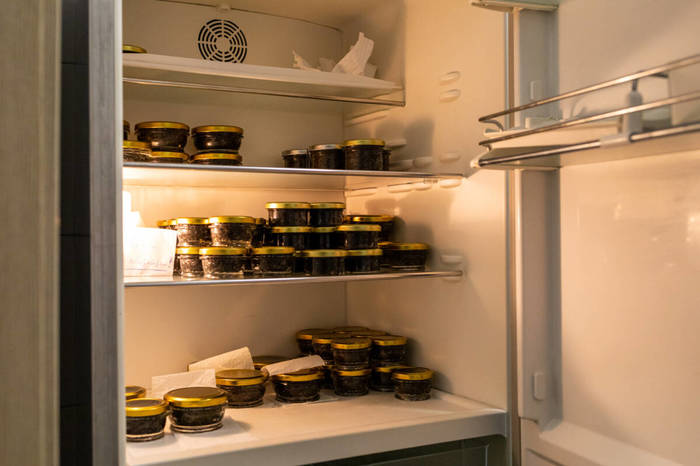 Как в Казани производят натуральную чёрную икру Производство, Как это сделано, Завод, Фабрика, Продукты, Длиннопост Как в Казани производят натуральную чёрную икру Производство, Как это сделано, Завод, Фабрика, Продукты, Длиннопост