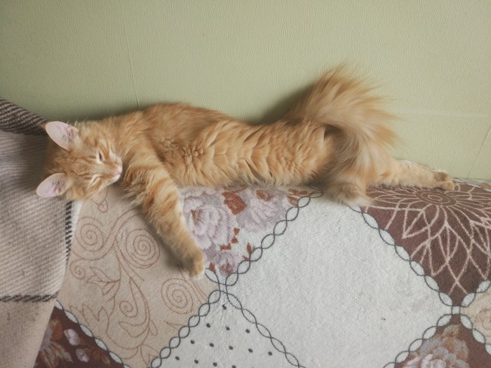 ������� ����