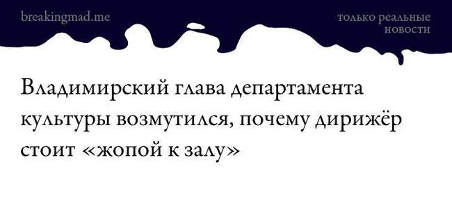 Мне по... так некрасиво! - Моё, Культура, Департамент культуры, Реальная история из жизни, Директор, Идиотизм, Начальство, Работа, По уставу, Мат, Длиннопост