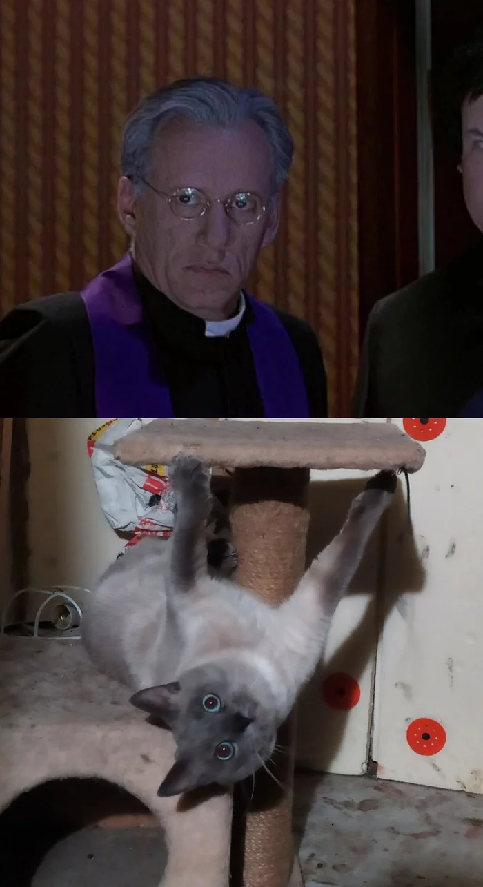 Call the KOTzarcist † - My, Smoke, Exorcism, Memes, cat