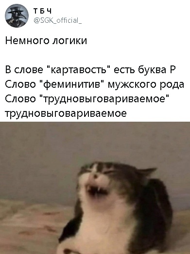 Try to pronounce it - The words, Russian language, Twitter, Screenshot, cat