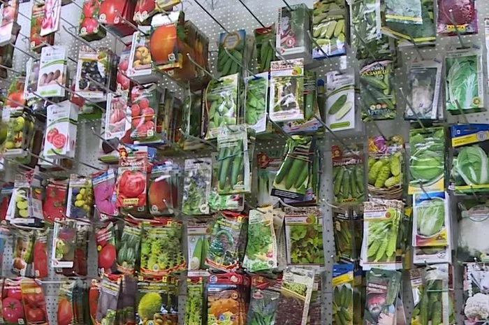 The most common misconceptions about seeds - Seeds, Interesting, Advice, Myths, Longpost