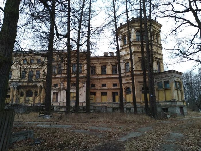 Palace of Grand Duke Mikhail Nikolaevich. Mikhailovskaya Dacha, near St. Petersburg - My, Saint Petersburg, Peterhof, Strelna, The photo, Abandoned, Longpost