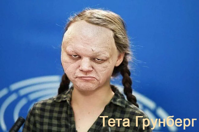 Sorry - My, Greta Thunberg, Memes