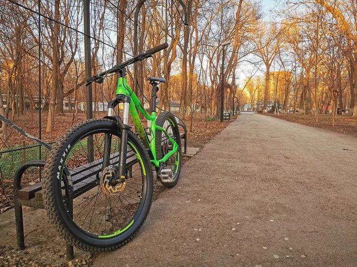 Winter commuting - My, A bike, Rostov-on-Don, Sunset, cat, Longpost