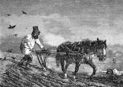 ���� �� ���������� ������������, ��������������������