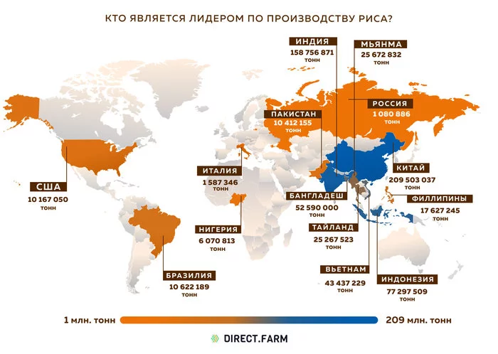 Leading countries in rice production - My, Interesting, Informative, Statistics, Сельское хозяйство, Farm, Farmer, Products, Plant growing