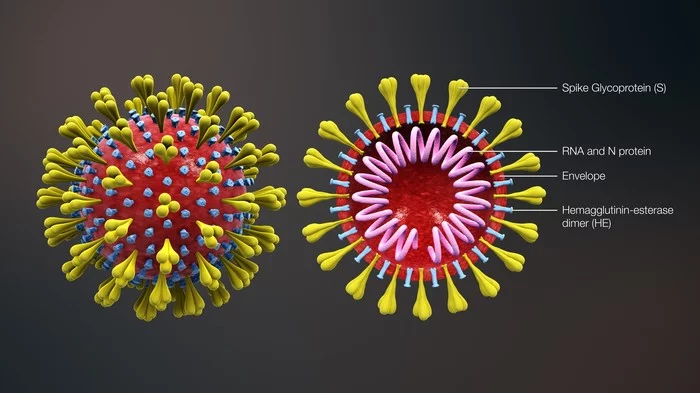 Coronavirus is no joke - The medicine, Epidemic, China, Longpost, Coronavirus