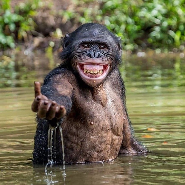    , 