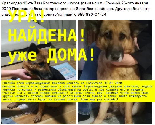 Hooray! A shepherd has been found! Krasnodar - Krasnodar, Sheepdog, Lost, The dog is missing, Found a dog