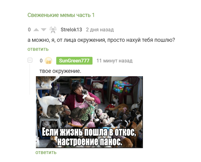 Одного Пикабушника пост ) - Моё, Злой школьник, Школьники, Комментарии на Пикабу, Доброта, 40 кошек, Мат, Скриншот