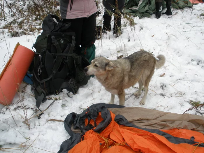 How I walked in Tuzuksu - My, Longpost, Text, Caves, Khakassia, Tourism, Speleology