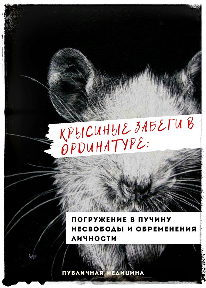 Крысиные забеги в ординатуре