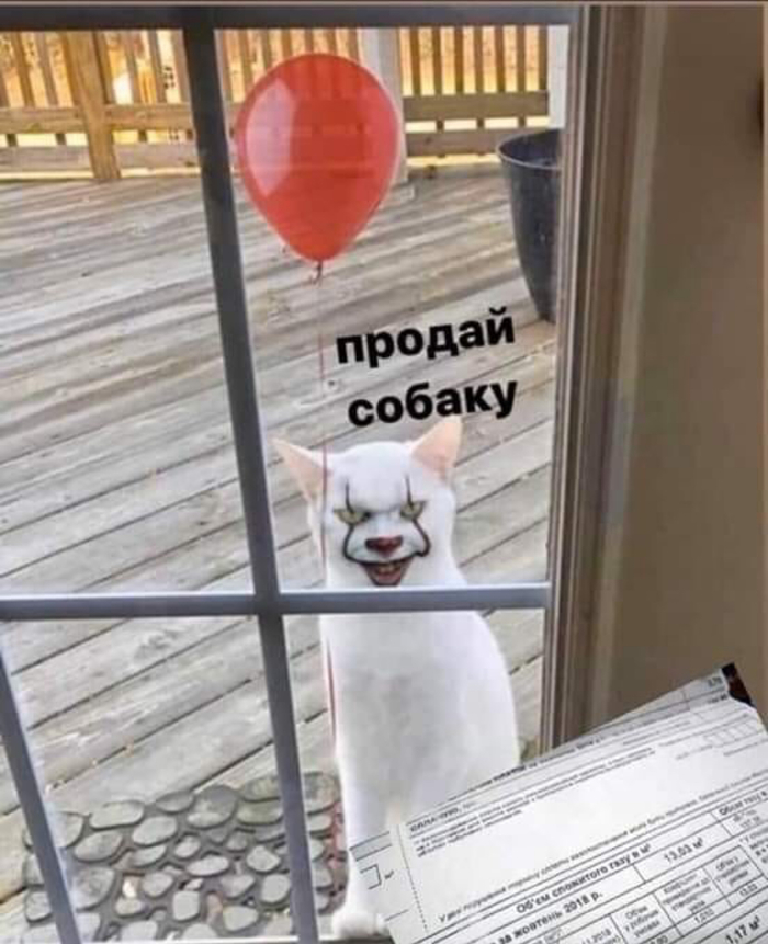 ������ ������