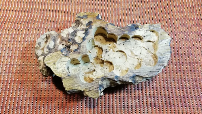 Birch suvel bowl - My, Thread, Wood carving, Bowl, Souvel, With your own hands, Video, Longpost