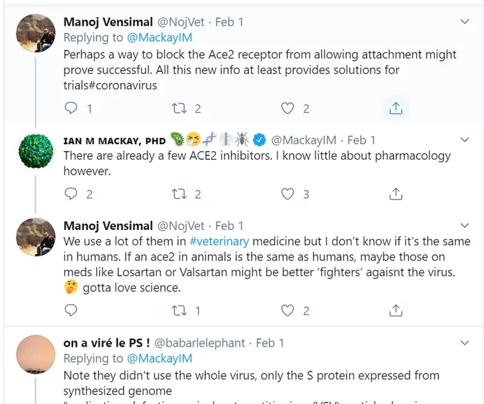 Возможное, ВОЗМОЖНОЕ!  экспериментальное! лечение коронавируса ингибиторами ACE2 - Коронавирус, Болезнь, Медицина, Китай, Лекарства, Наука, Врачи, Вирус