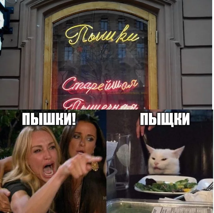 Donuts! - Two women yell at the cat, Crumpet, Saint Petersburg