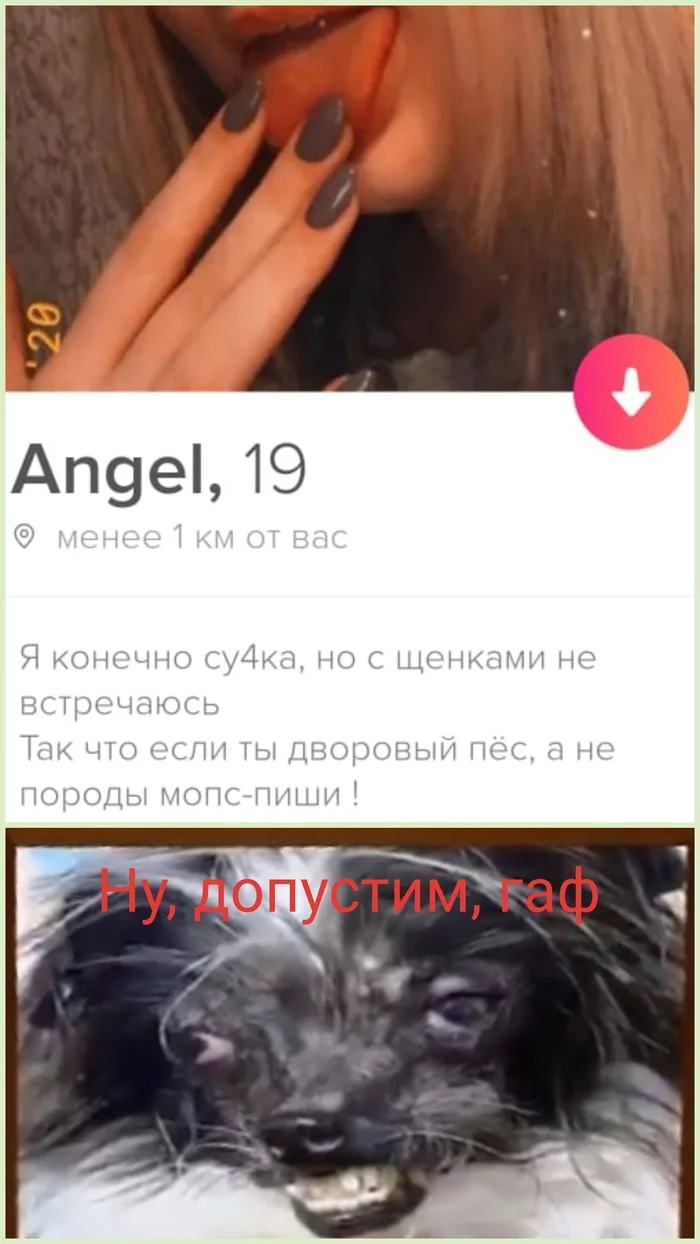 Tinder - Tinder, Humor, Memes