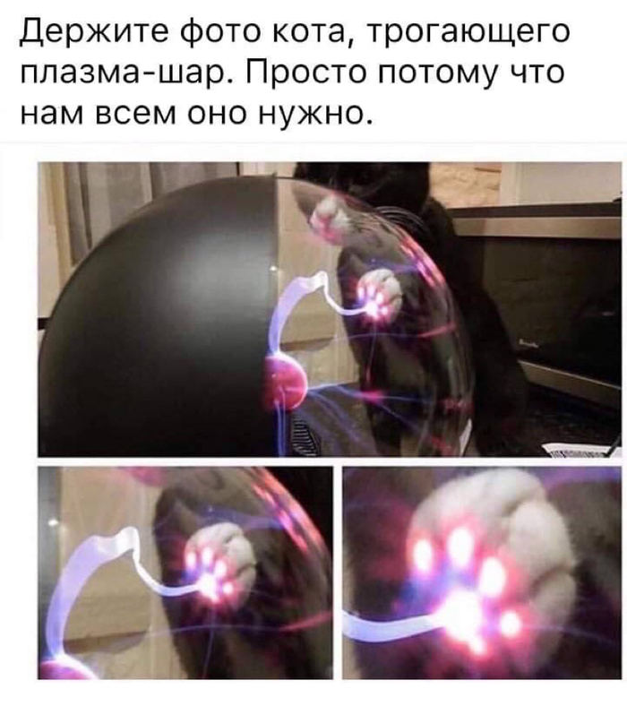 Для чего муха трет лапки. Смотреть фото Для чего муха трет лапки. Смотреть картинку Для чего муха трет лапки. Картинка про Для чего муха трет лапки. Фото Для чего муха трет лапки