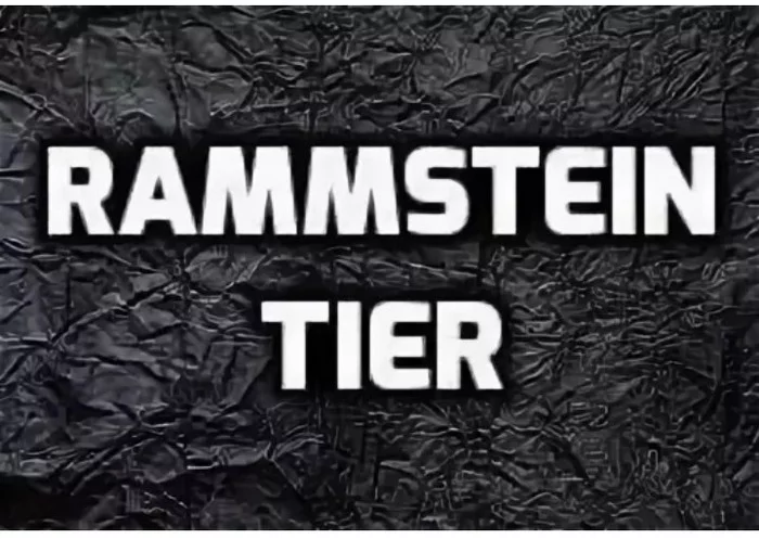 И все же я не понимаю... - Tier, Rammstein, Смысл, Песня