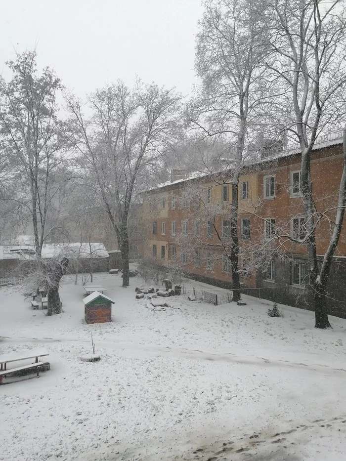 A little late - My, Snowfall, Dnieper