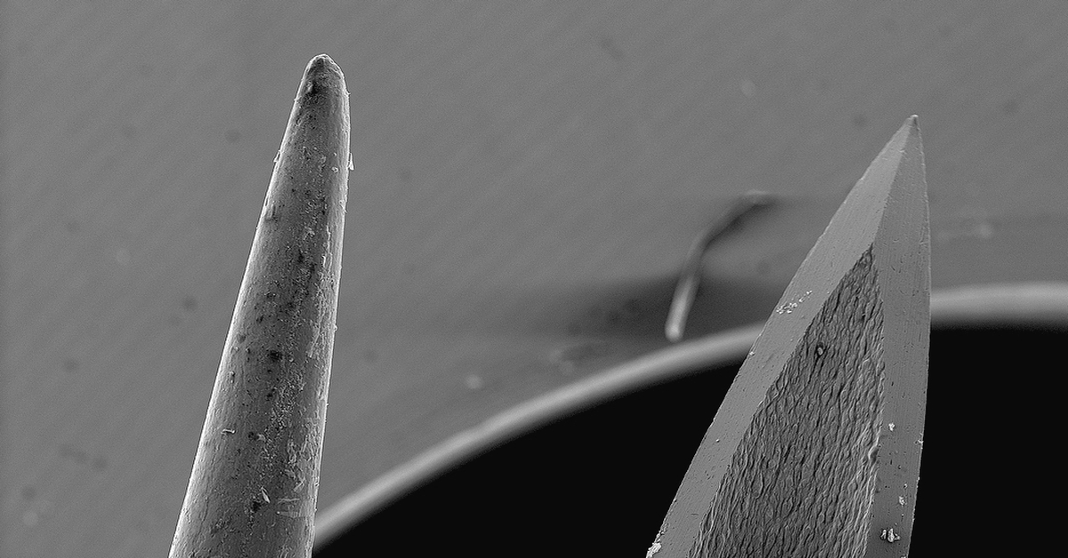 По ножам острым как игла. Игла дикобраза под микроскопом. Игла морского ежа под микроскопом. Иголка под микроскопом. Игла под электронным микроскопом.