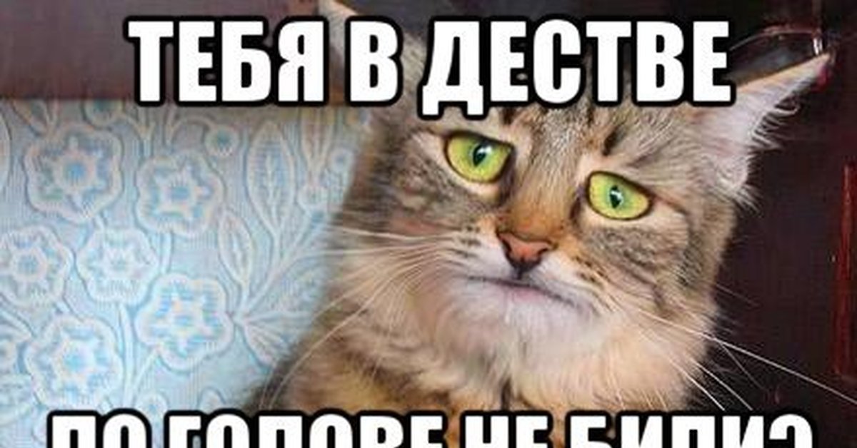 Котик здесь не просто