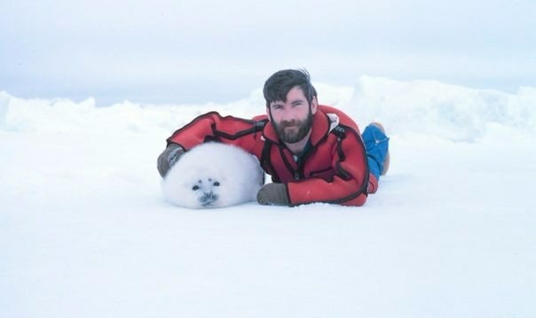 I'll get myself a seal... - Seal, Alaska, Pilot