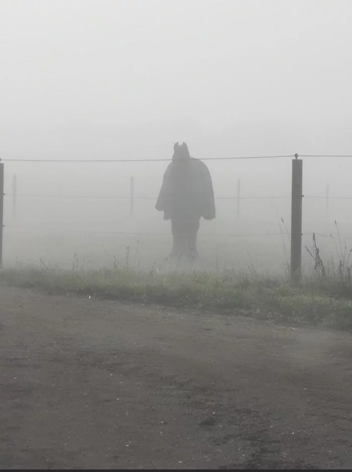 Batman or a horse in a coat? - Perhaps this is a batman, Batman, Horse in coat, Fog