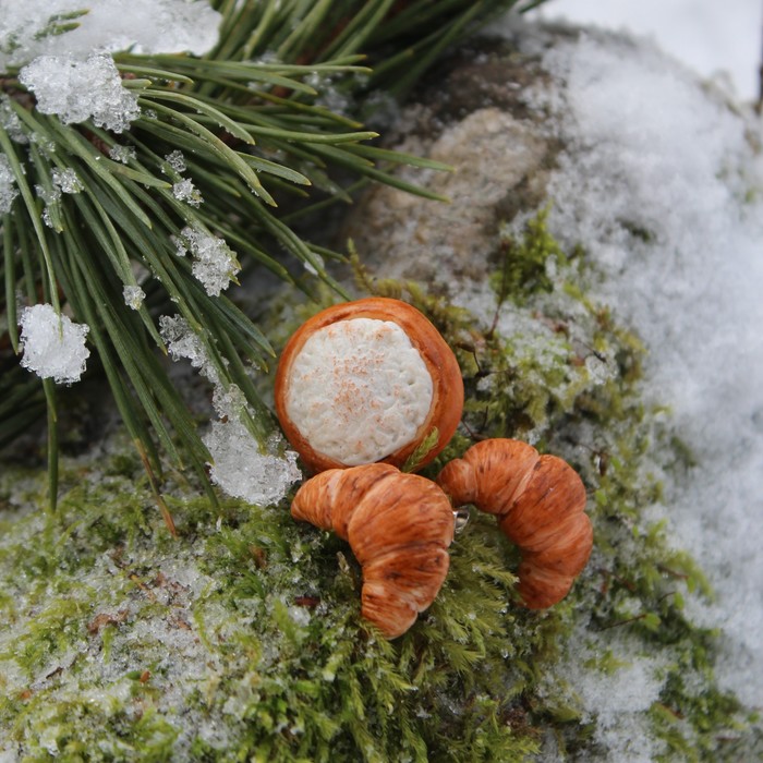 �������� � �������� � ��������� �� ���������� �����