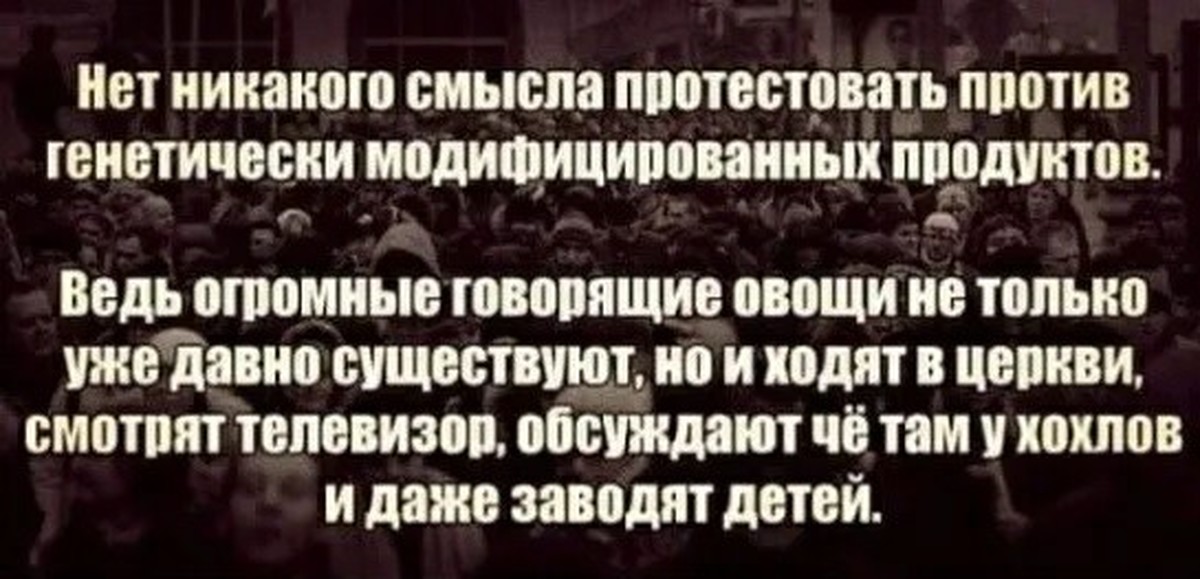 Скажи самое большое. Нет никакого смысла. Цитаты про новости. Воткнем же Пылающий факел знаний. Воткнем же Пылающий факел знаний в немытую ж невежества.