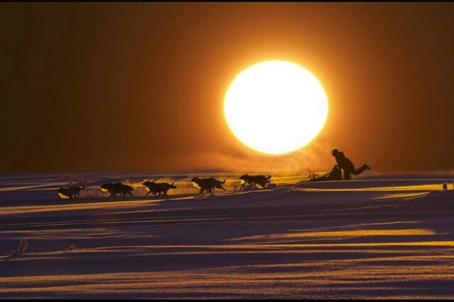 By request ... - My, Chukotka, Nature, Longpost