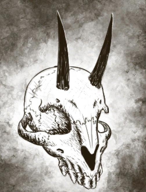 Череп