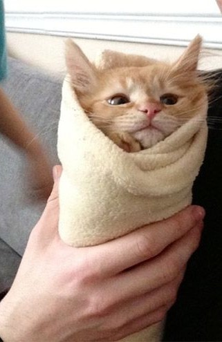 ������ ������ ������!!!