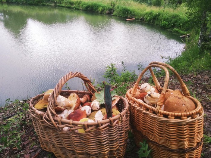 ��������� ����