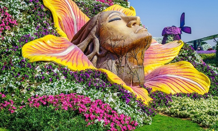 Miracle Garden | -    , , 