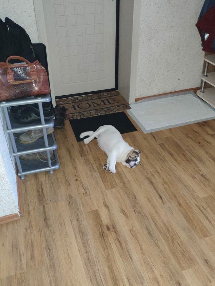 ���������� �������