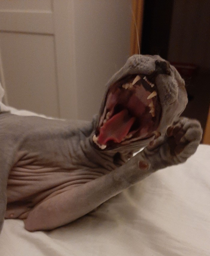 Утро понедельника