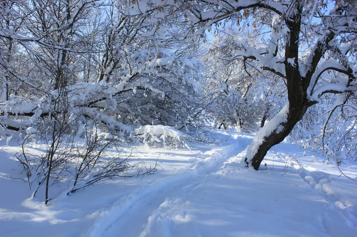 Winter has come again.... (Rostov region) - My, Winter, beauty, Rostov region, Landscape, Longpost