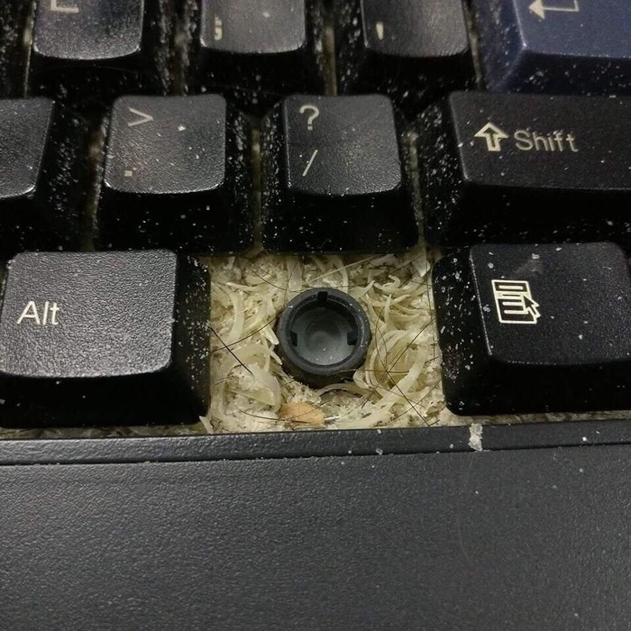 ? , ?, , 