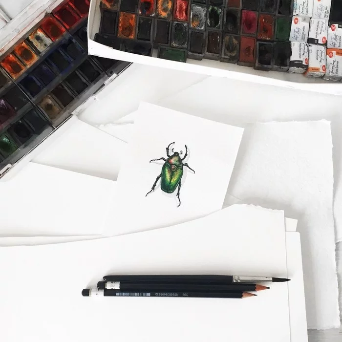 Bronzovka or May beetle - My, Drawing, Creation, Жуки, Bronzovka