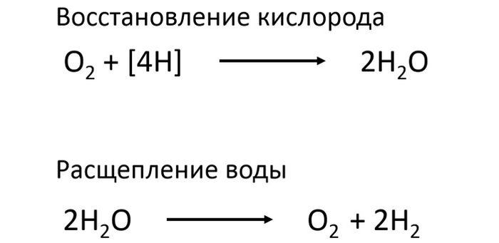 1581403402143534697