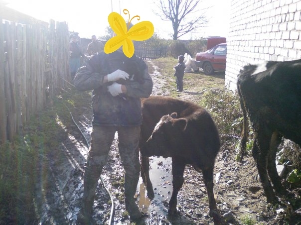 ���������� �����