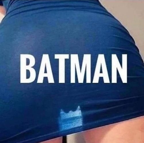 Batman is everywhere - NSFW, Skirt, Silhouette, It seemed