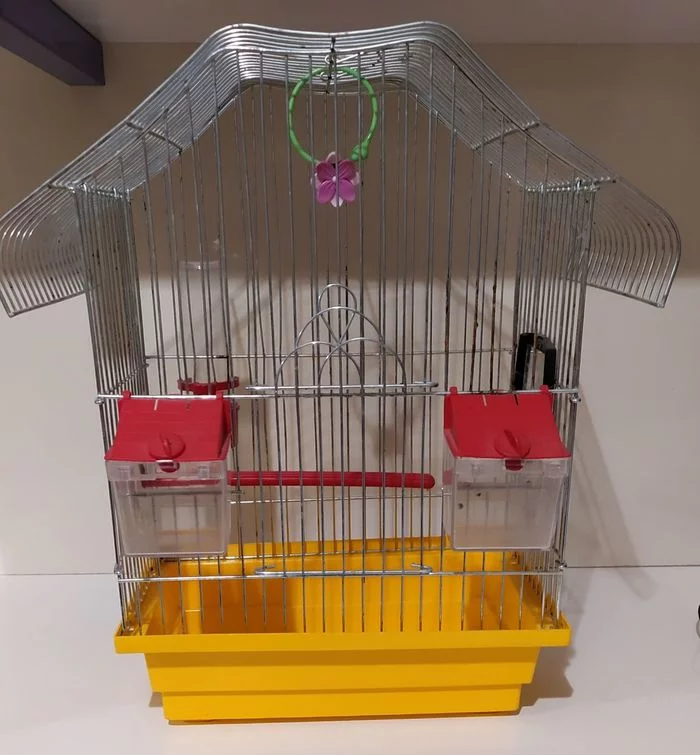 Inexpensive cage for your parrot - My, A parrot, Cell, punishment cell, Budgies, Canary