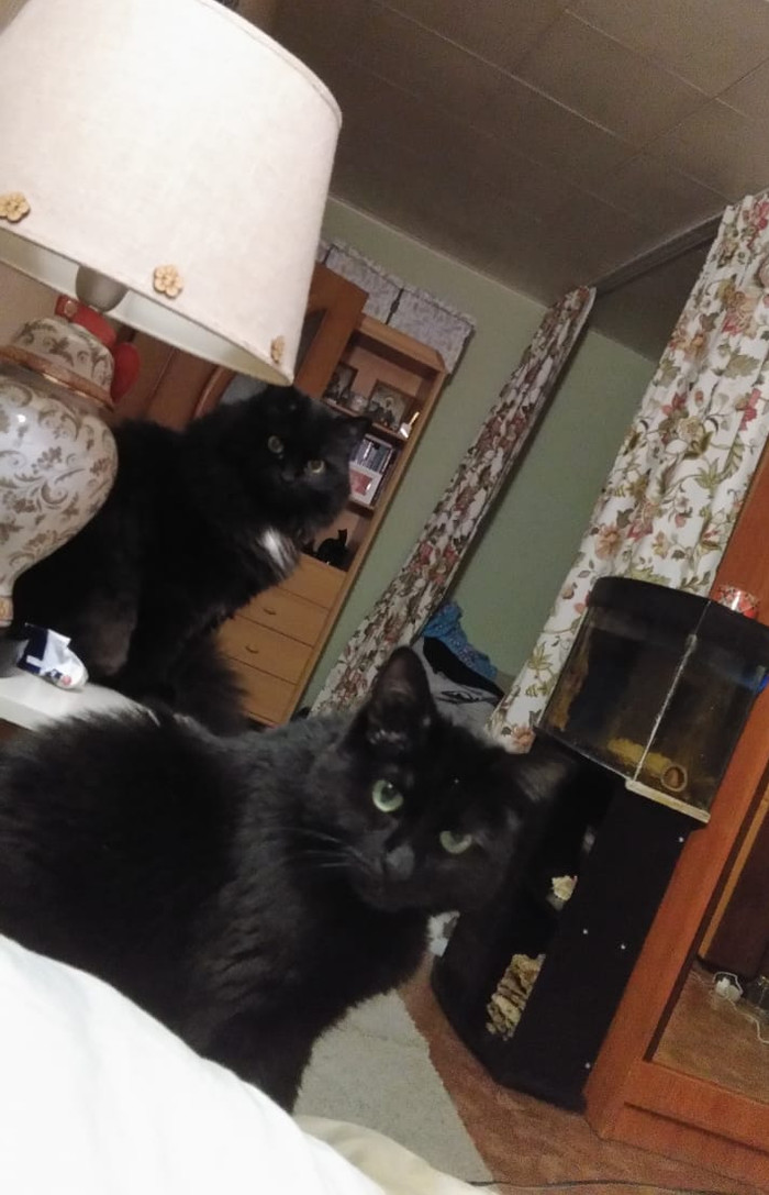 �������