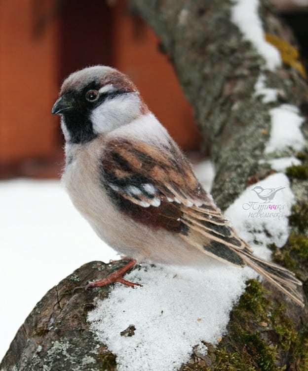 House sparrow. Dry felting - My, Needlework without process, Dry felting, Creation, Needlework, Author's toy, Wallow, Craft, Longpost